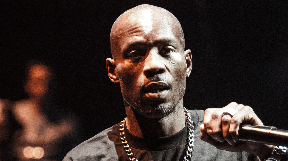 dmx net worth
