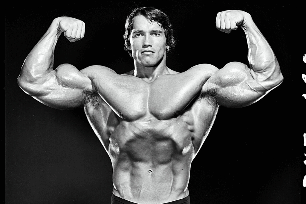 arnold schwarzenegger net worth